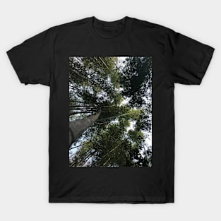 Bamboo Tops T-Shirt